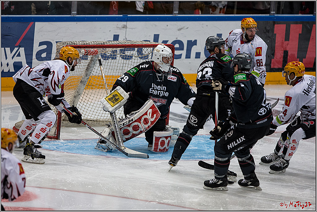DEL, Koelner Haie - Fishtown Pinguins Bremerhaven, 29.01.2017